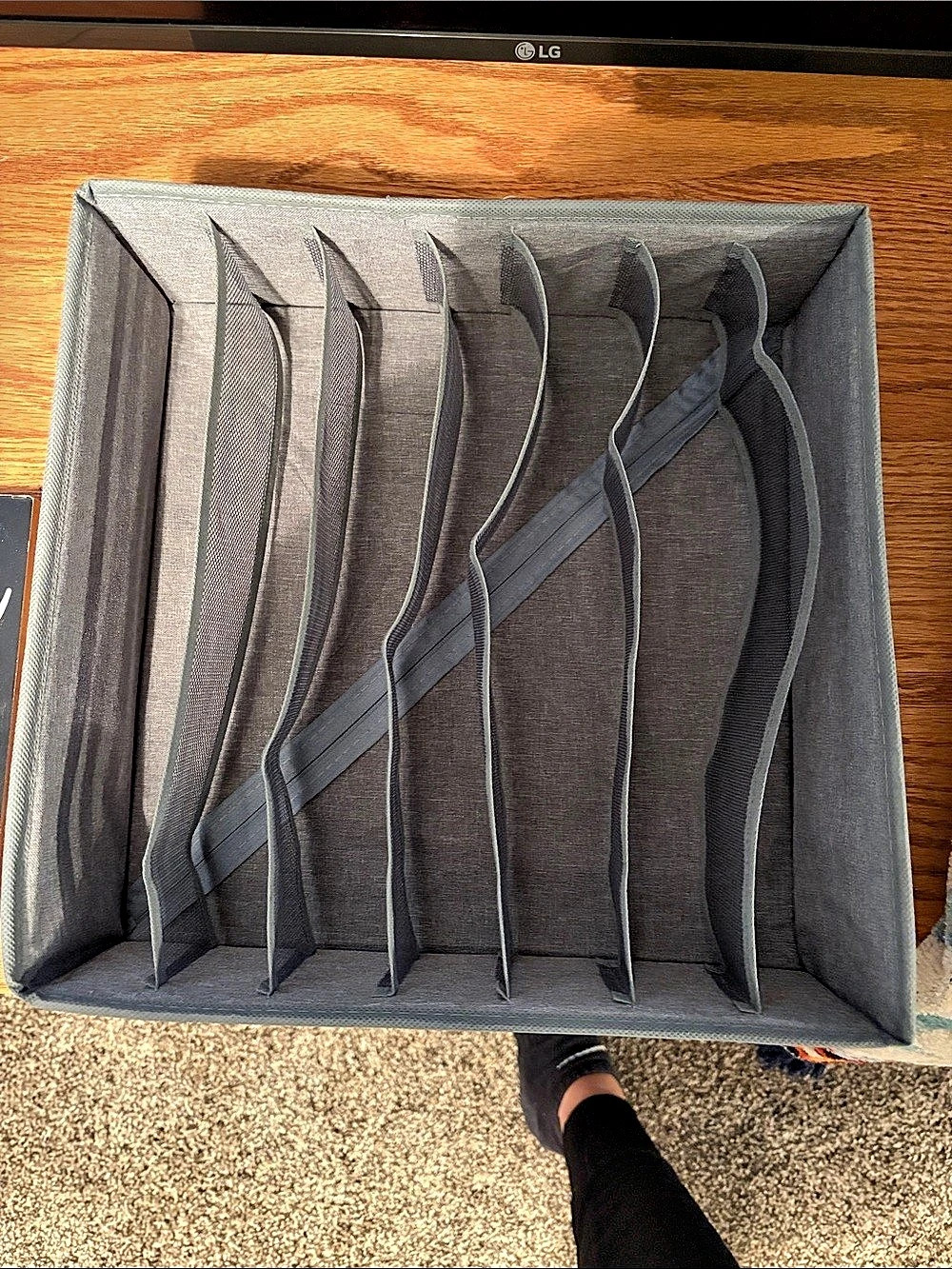 Bra Closet Organizer